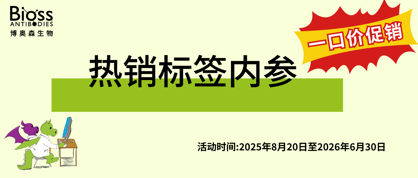 修飾抗體